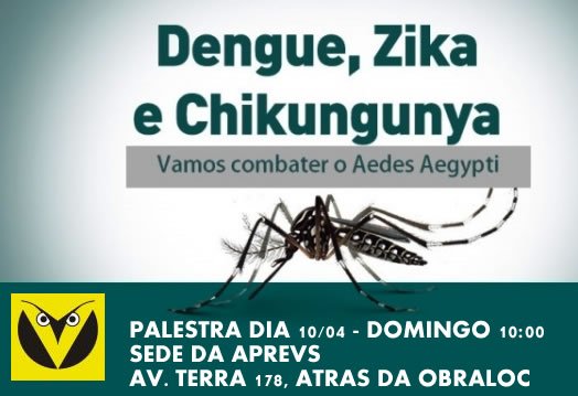 palestra aedes