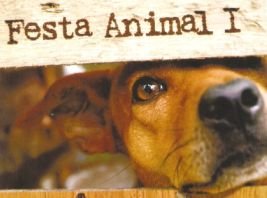 festa_animal